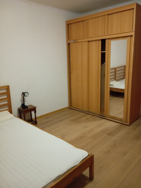 Mihai Bravu, Ferdinand,