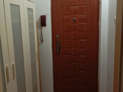 Mihai Bravu, Ferdinand